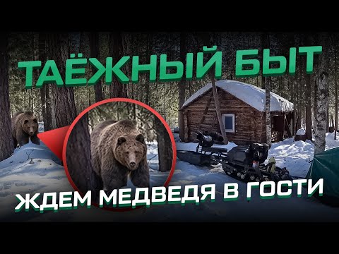 Видео: Таёжный быт! Ждём медведя в гости! Установка фотоловушек.