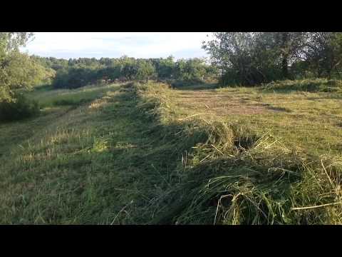 Видео: Заготовка сена в плохую погоду