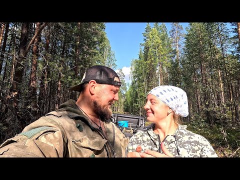 Видео: ЗАРАБОТАЛИ НА ЯГОДАХ В КАРЕЛИИ. С ЖЕНОЙ В ЛЕСУ СОБИРАЕМ ЧЕРНИКУ. В ЛЕС ЗА ЯГОДАМИ. ПРОМЫСЕЛ