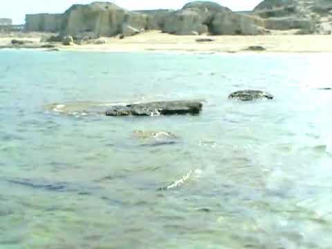 Видео: Бекдаш