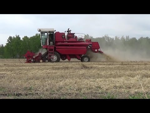 Видео: Весенняя уборка полегшей пшеницы. Енисей-1200