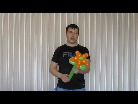 Видео: Цветок - Звезда