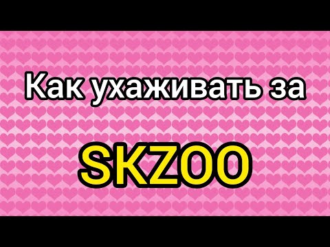 Видео: Как правильно ухаживать за SKZOO!!! 😍😘