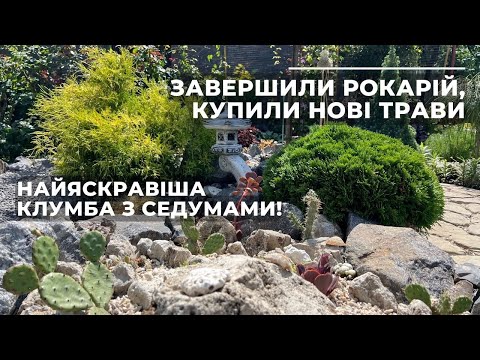 Видео: Завершили рокарій, купили нові трави. Найяскравіша клумба з седумами!