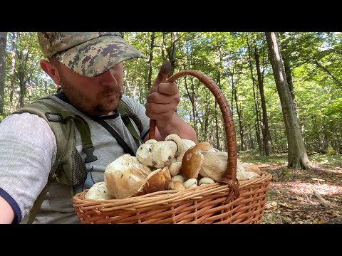 Видео: По Дорозі Вверх Вниз Корзина ПОВНА.. можна іти додому! Гарні Осіні Білі Гриби Прикарпаття та Карпат