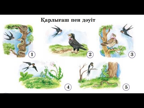 Видео: "Қарлығаш пен дәуіт" ертегісі