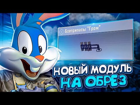 Видео: НОВЫЙ МОДУЛЬ НА HSO405 ПРОСТО ИМБА В CALL OF DUTY MOBILE?  | tiny toon codm