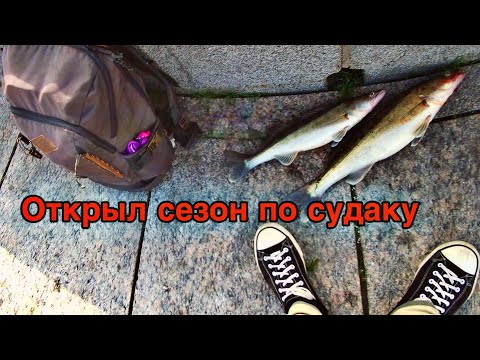 Видео: ОТКРЫЛ СЕЗОН ПО СУДАКУ | РЫБАЛКА НА НЕВЕ