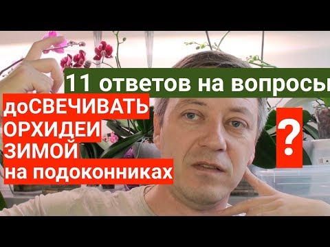 Видео: Досвечивать ОРХИДЕИ зимой на подоконниках НУЖНО или МОЖНО?