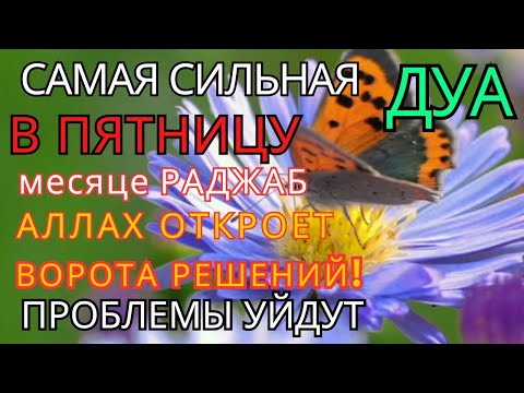 Видео: Дуа утром В ПЯТНИЦА в месяце РАДЖАБ на Удачу деньги всегда будут приходить к вам ИншаАллах