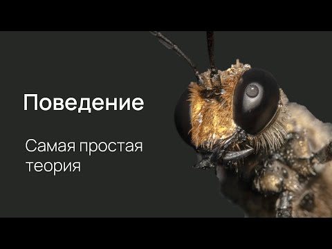 Видео: Нейробиология поведения. Бихевиоризм