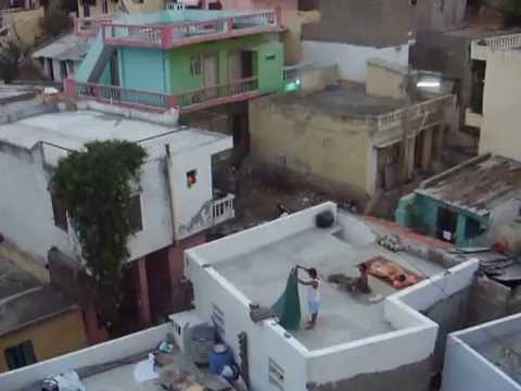 Видео: IHL4 Хинди лайф. Рассвет в Путтапарти из нашего окна. Обезьяны встречают рассвет.