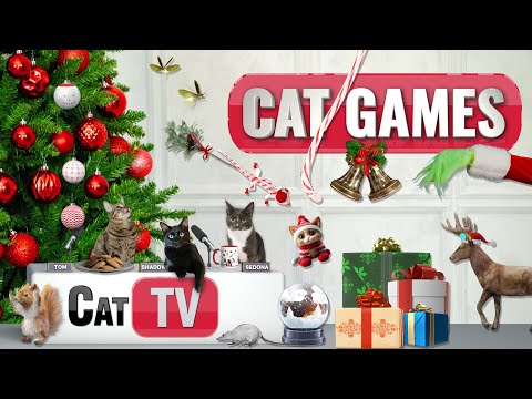 Видео: 🎄 Лучшая рождественская подборка кошачьих телепередач 🎁 | 6 часов праздничного веселья для кошек! 🐾