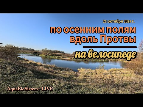 Видео: По осенним полям.
