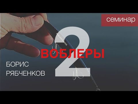 Видео: Выпуск 2. Семинар от Бориса Рябченкова. Воблеры