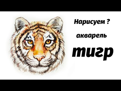 Видео: Как нарисовать тигра акварелью