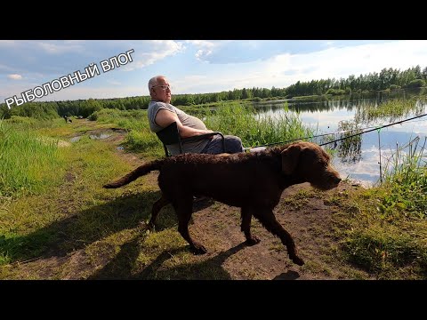 Видео: Дача / Шашлычок / Рыбалка в Живописном Месте / ВЛОГ
