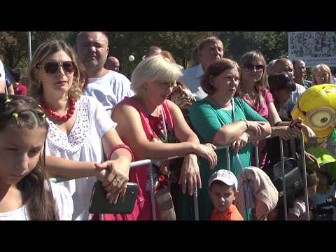 Видео: БАХМУТ 446