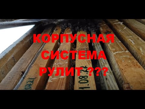 Видео: ГЛАВНЫЙ СЕКРЕТ ПРЕВОСХОДСТВА КОРПУСНОЙ СИСТЕМЫ НАД ГНЕЗДОМ ДАДАН 300-я РАМКА !!!