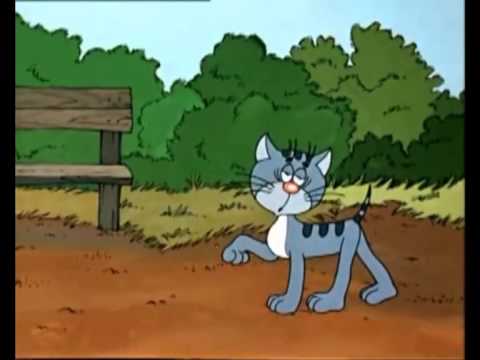 Видео: Кошачий блюз Тимур Шаов)