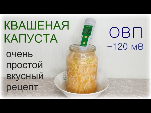 Видео: ФЕРМЕНТИРУЕМ КАПУСТУ. Натуральный пробиотик. Квашеная капуста ОВП -120 мВ !