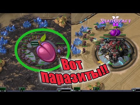 Видео: Тиммейты-сливы