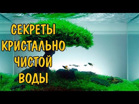 Видео: СЕКРЕТЫ КРИСТАЛЬНО ЧИСТОЙ ВОДЫ