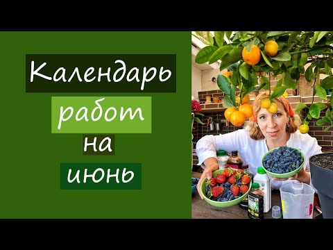Видео: Календарь работ на июнь