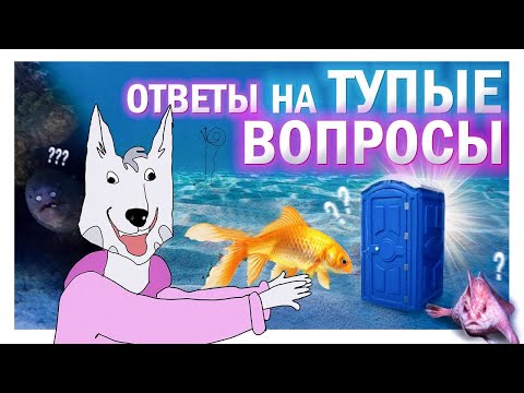 Видео: ТЫ ХОТЕЛ ЭТО УЗНАТЬ | ВОПРОСЫ 4 ЧАСТЬ