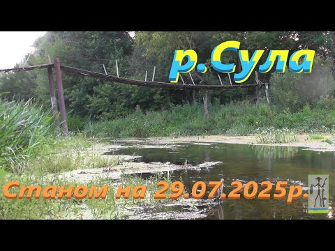 Видео: Яка вона Сула зараз #РибачуЯкУмію