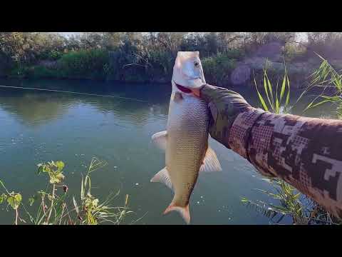 Видео: С чего всё началось: моя спиннинговая рыбалка на Шурузяке