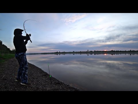 Видео: Неожиданный улов на фидер! Ловля лещей на фидер!