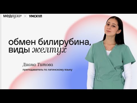 Видео: Обмен билирубина, патофизиология желтух | Патофизиология | Медвуза