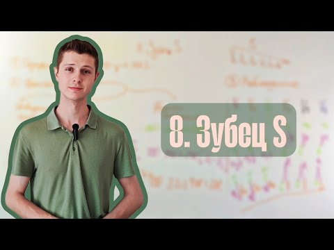 Видео: Алгоритм анализа ЭКГ | 8. Зубец S