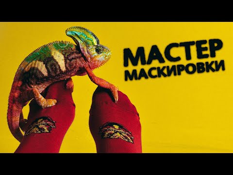 Видео: Как хамелеон меняет цвет? Зачем он это делает? ВАС ВСЕ ОБМАНЫВАЮТ!