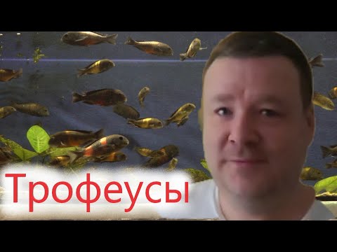 Видео: Великолепные трофеусы Павла г.Челябинск