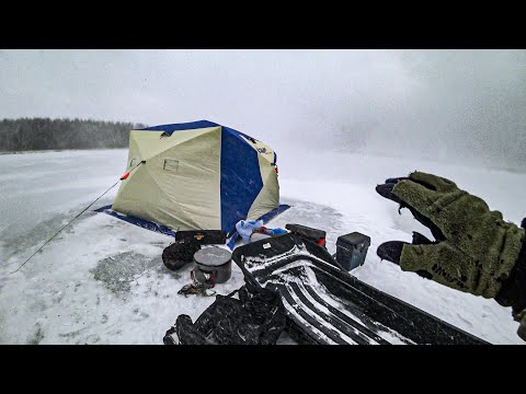 Видео: ЭТУ РЫБАЛКУ МЫ ЗАПОМНИМ НАДОЛГО! ЩУКА СДУРЕЛА ОТ ТАКОЙ ПОГОДЫ! МОНТАЖ «ХАПУГА»