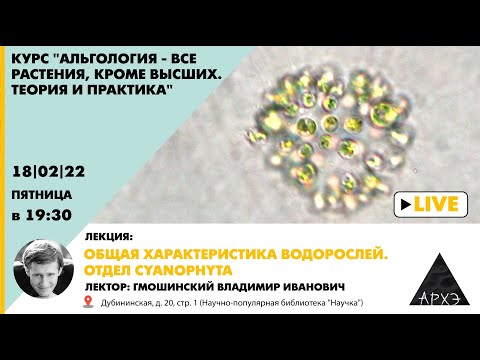 Видео: Владимир Гмошинский | Общая характеристика водорослей. Отдел Cyanophyta (Л.1)
