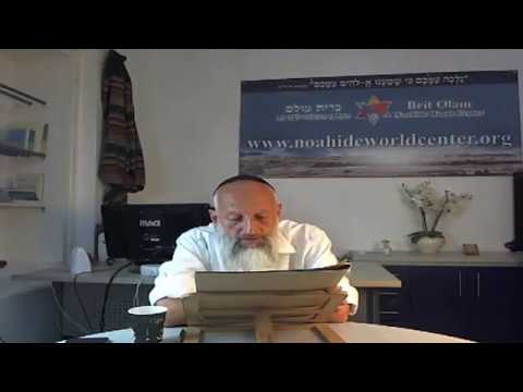 Видео: Трубление и Память