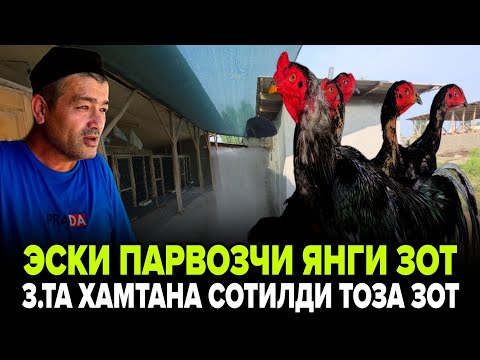 Видео: АНДИЖОНЛИ ЭСКИ ПАРВОЗЧИ 3.ХИЛ ЗОТНИ КУРСАТТИ ВЕТНАМ