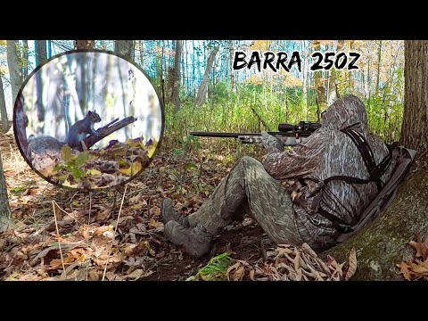 Видео: Охота на белок с Barra 250z и пулями Pro Hunter