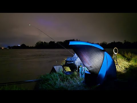 Видео: Рассказ про Одру!