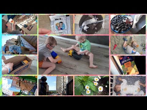 Видео: Спокойный день 🫶