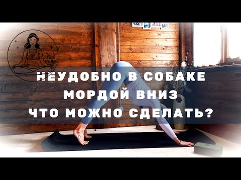 Видео: Собака мордой вниз секрет успеха | Что делать если в позе неудобно?