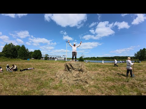 Видео: Вороны уничтожают кукурузу,съездил на «туристический слет»