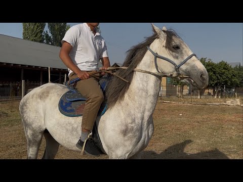 Видео: Сур Атка Барат тел:+996-500-844-666.   9 сентября 2025 г.