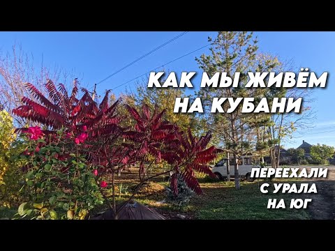 Видео: 1015 Жизнь семьи на юге/Посадка саженца винограда/Обзор посёлка Родники