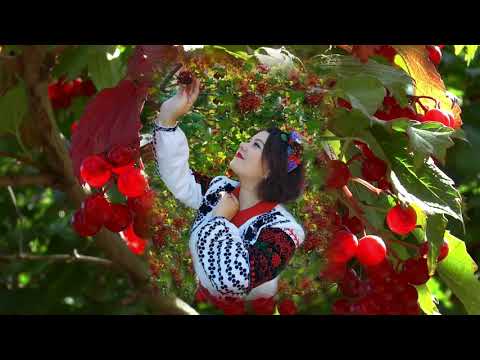 Видео: Наталія Шинкаренко - "Не сумуй, калинонько"