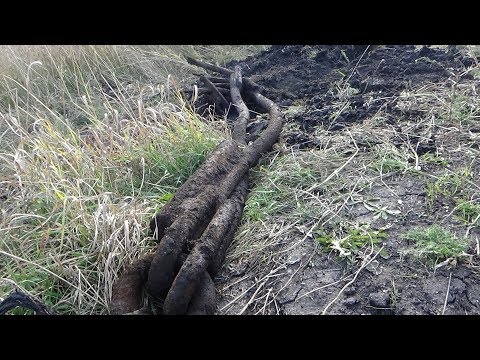 Видео: И почему я раньше не искал металл в таких местах!!! Что я нашел на дороге ЭТО СУПЕР!!!