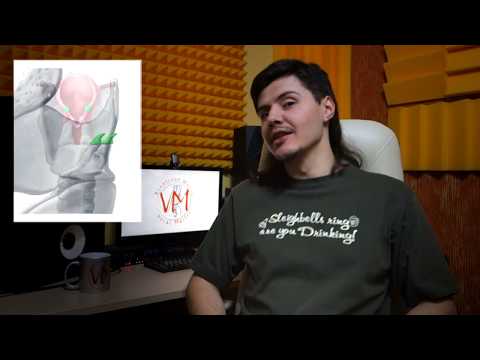 Видео: Vocal Master. Дао звука часть 2: Регистров нет, Нео!